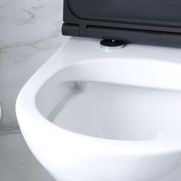 Унитаз подвесной Am.Pm Gem FlashClean с сиденьем микролифт белый/чёрный C901700SCmb