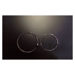 Клавиша смыва Aquanika Basic R-type 01.02.02202 чёрный/хром Клавиша смыва Aquanika Basic R-type 01.02.02202 чёрный/хром