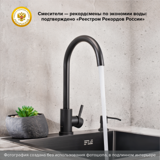 Смеситель для кухни РМС SUS124BLK-017F чёрный Смеситель для кухни РМС SUS124BLK-017F чёрный