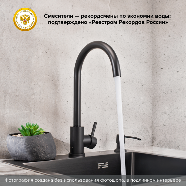 Смеситель для кухни РМС SUS124BLK-017F чёрный