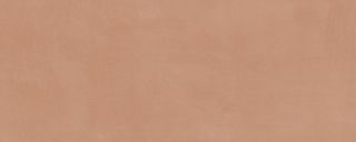 Плитка Kerama Marazzi 7254 Каннареджо оранжевый матовый 20x50x0,8