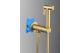Гигиенический душ со смесителем ALMAes AGATA AL-877-03 золото матовое
