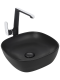 Раковина Weltwasser накладная матовая черная 370х370х115 WW ELBACH 2184 MB 10000004527