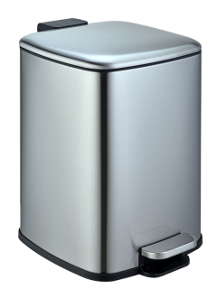 Педальное ведро Weltwasser BERG MT  6L 10000013396 Матовая сталь