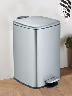 Педальное ведро Weltwasser BERG MT 20L 10000013400 Матовая сталь