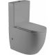 Унитаз-компакт Weltwasser WW Merzbach 011 MT-GR 10000013649 серый матовый