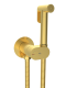 Гигиенический душ Weltwasser HIGI R01 MGL 10000013656 Матовое золото.