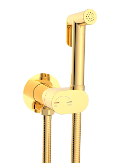 Гигиенический душ Weltwasser HIGI R01 GL 10000013657 Золото.