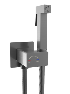 Гигиенический душ Weltwasser HIGI Q01 GG 10000013669 Брашированная оружейная сталь.