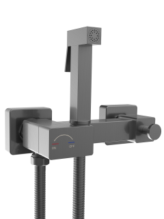 Гигиенический душ Weltwasser WW HIGI Q02 GG 10000013676 Сталь