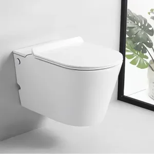 Унитаз подвесной Ceruttispa Argentera Aria Pulse CT10590 с функцией импульсного смыва белый