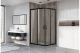 Душевой уголок Royal Bath HPD 120x100см чёрный RB1120HPD-T-BL