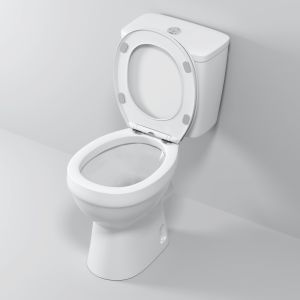 Унитаз Niagara Brava NG-9901 безободковый белый