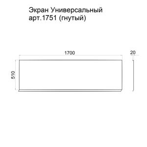Экран универсальный Triton Щ0000049778 170 см гнутый