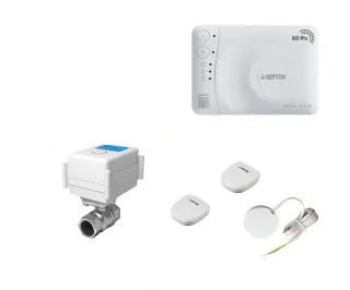 Комплект Neptun Special Edition Smart 1419526-1 беспроводной МК 1/2 1 кран