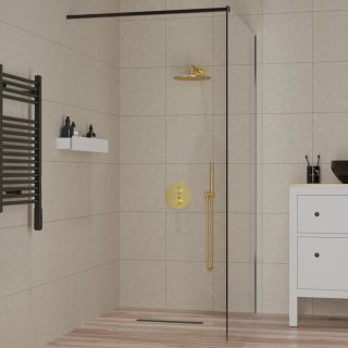Душевая перегородка Paini PAINI-WalkIN80C 80см чёрный