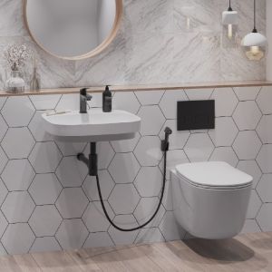 Смеситель для раковины Paini Laguna LAYO205/574 с гигиеническим душем чёрный