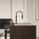 Смеситель для кухни Kludi Qord 568596675 с гибким изливом чёрный матовый