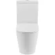 Унитаз-компакт Cezares Вектор (Stylus) CZR-538-CP-TOR/T/BORO/SC безободковый фурнитура брашированное золото