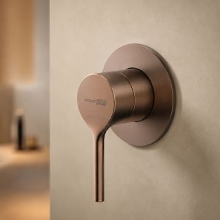 Смеситель для душа WasserKRAFT Rhein 9951BRG розовое золото матовое
