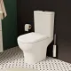 Унитаз-компакт VitrA Zentrum (Зентрум) 9012B003-7209 антибактериальное покрытие Hygiene (Хайджн)