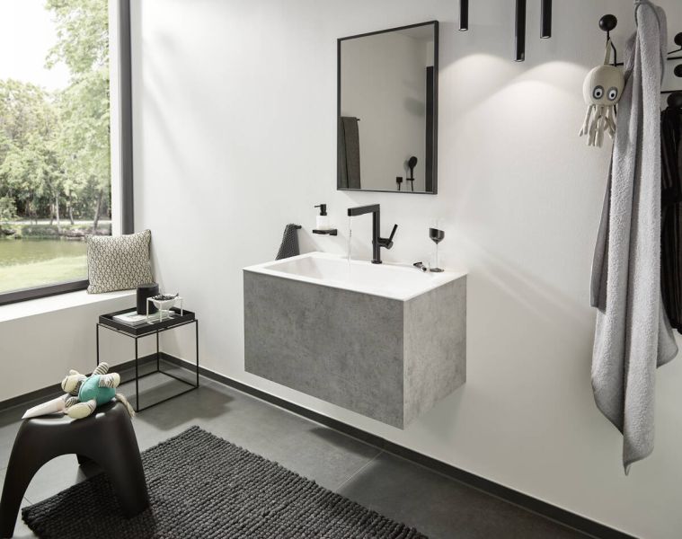 Крючок для полотенец Hansgrohe AddStoris 41755990