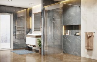 Душевая перегородка Ambassador Walk-in 15031102 100см хром/прозрачное