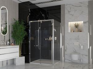 Боковая стенка Ambassador Intense 110IX 110см хром/прозрачное