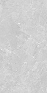 Керамогранит Realistik Литос светло-серый сахарный полированный 86417, 60x120 (1,44)