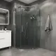 Душевой уголок Niagara Eco NG-1010-14D 100x100 см профиль хром стекло прозрачное