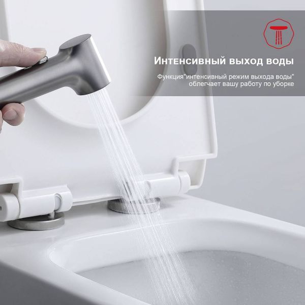 Гигиенический душ со смесителем Raglo R03.52.09 графит Гигиенический душ со смесителем Raglo R03.52.09 графит