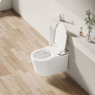 Унитаз умный подвесной RGW SW-71 80420271-01 с инсталляцией белый