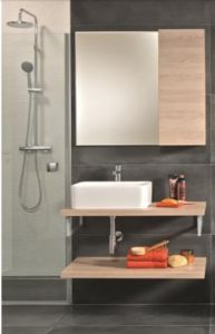 Раковина Roca Mila 32700B000 35 x 50 см