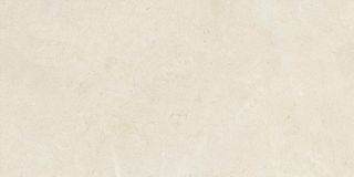 Керамогранит ProConcept 233795 Dorcia Stone Cream Matt 60x120