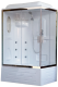 Душевая кабина Royal Bath BP левая стекло прозрачное 100x80см RB8100BP2-T-CH-L