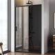 Душевая дверь Am.Pm Gem W90G-120-1-195BG 120 см цвет профиля чёрный матовый стекло тонированное