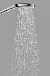 Душевая лейка Hansgrohe Croma 110 Select S Vario Hand Shower 26802400