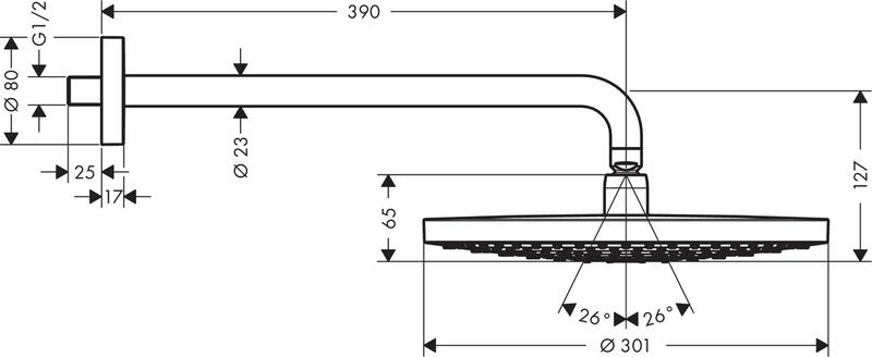 Верхний душ Hansgrohe Raindance Select S300 2jet 27378400