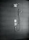 Верхний душ Hansgrohe Raindance Rainfall Overhead Shower 2jet 28433000