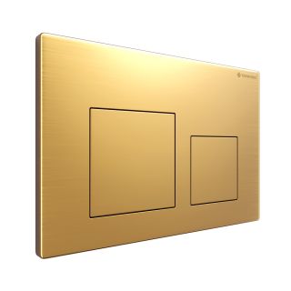 Клавиша смыва Terminus 82K24х16G брашированное золото