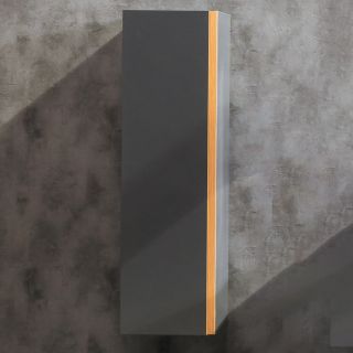Пенал Armadi Art Capolda 120см антрацит 849-120-A Пенал Armadi Art Capolda 120см антрацит 849-120-A