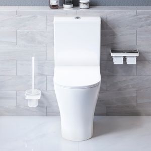 Унитаз компакт Damixa Sirius DX86C8600SC с бачком и сиденьем Микролифт