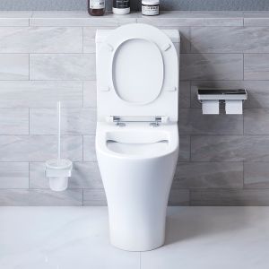 Унитаз компакт Damixa Sirius DX86C8600SC с бачком и сиденьем Микролифт