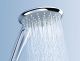 Лейка для душа Grohe Euphoria  27265000 хром