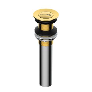 Донный клапан WasserKRAFT Sauer A253 золото