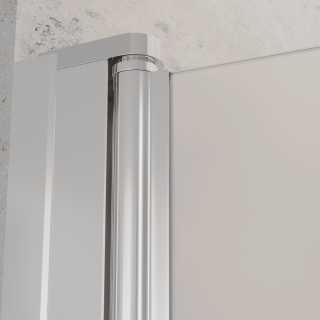 Душевая дверь RGW Dolphin TN-03 54930309-101 90 см профиль хром стекло фабрик