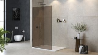 Душевая перегородка Cezares Свобода (Liberta) LIBERTA-L-1-TB-120-BR-Cr 120 см профиль хром стекло бронза
