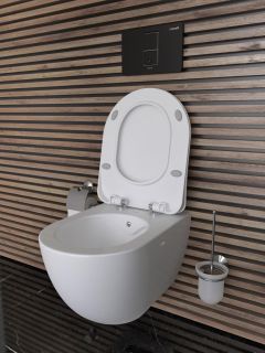 Подвесной унитаз с функцией биде Creavit Free FE322-00CB00E-0000 безободковый белый