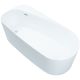 Акриловая ванна Allen Brau Priority 2.31001.21 170x80 см Акриловая ванна Allen Brau Priority 2.31001.21 170x80 см