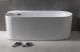 Акриловая ванна Allen Brau Priority 2.31001.21 170x80 см Акриловая ванна Allen Brau Priority 2.31001.21 170x80 см